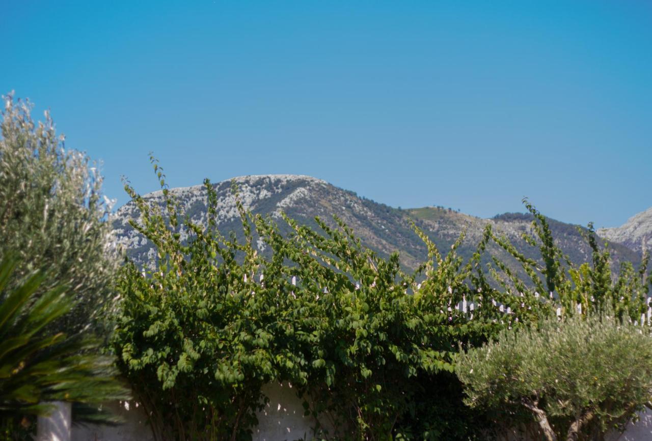 أَجيرولا Villa Donna Fausta المظهر الخارجي الصورة